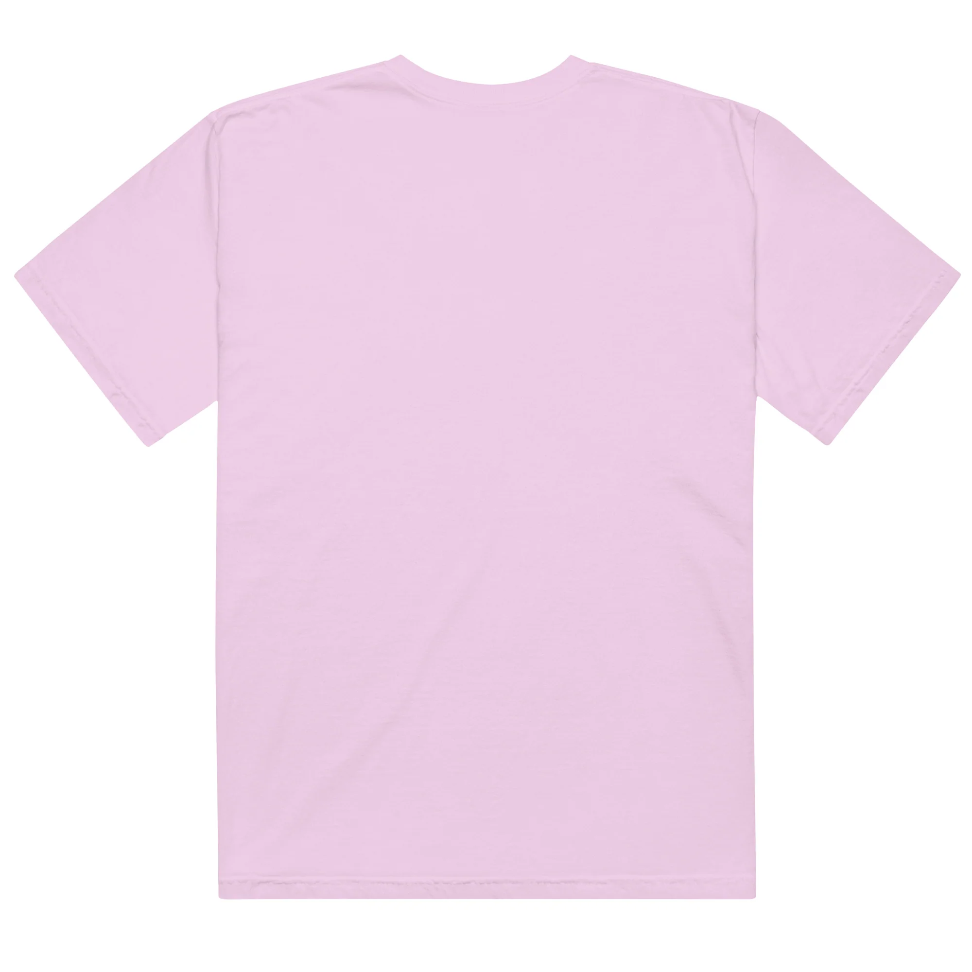 Wicked: For Good Her Goodness Will Protect You T-Shirt 4 Wicked: For Good Her Goodness Will Protect You T-Shirt