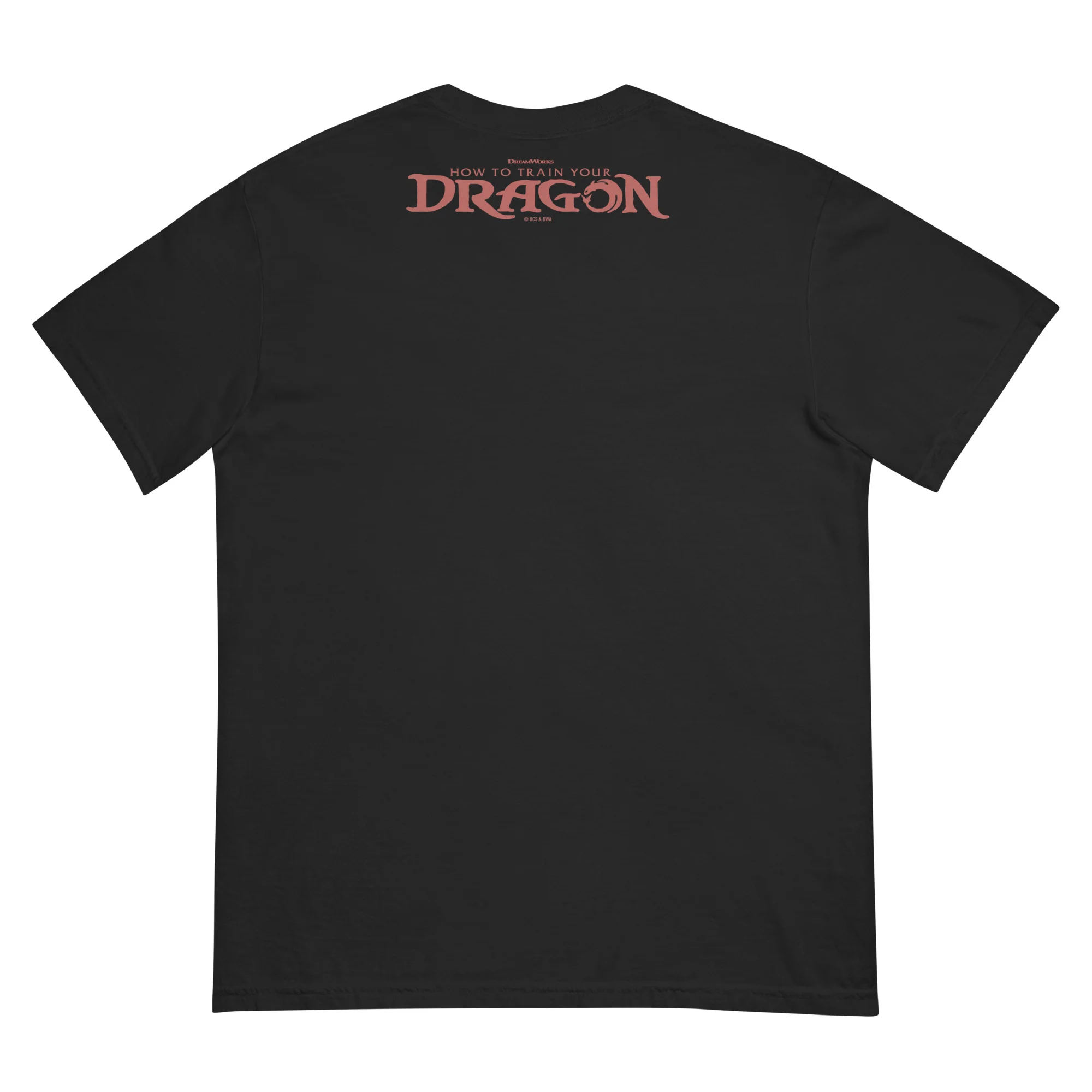 How to Train Your Dragon Welcome to Dragon Training Comfort Colors T-Shirt 2 How to Train Your Dragon Welcome to Dragon Training Comfort Colors T-Shirt