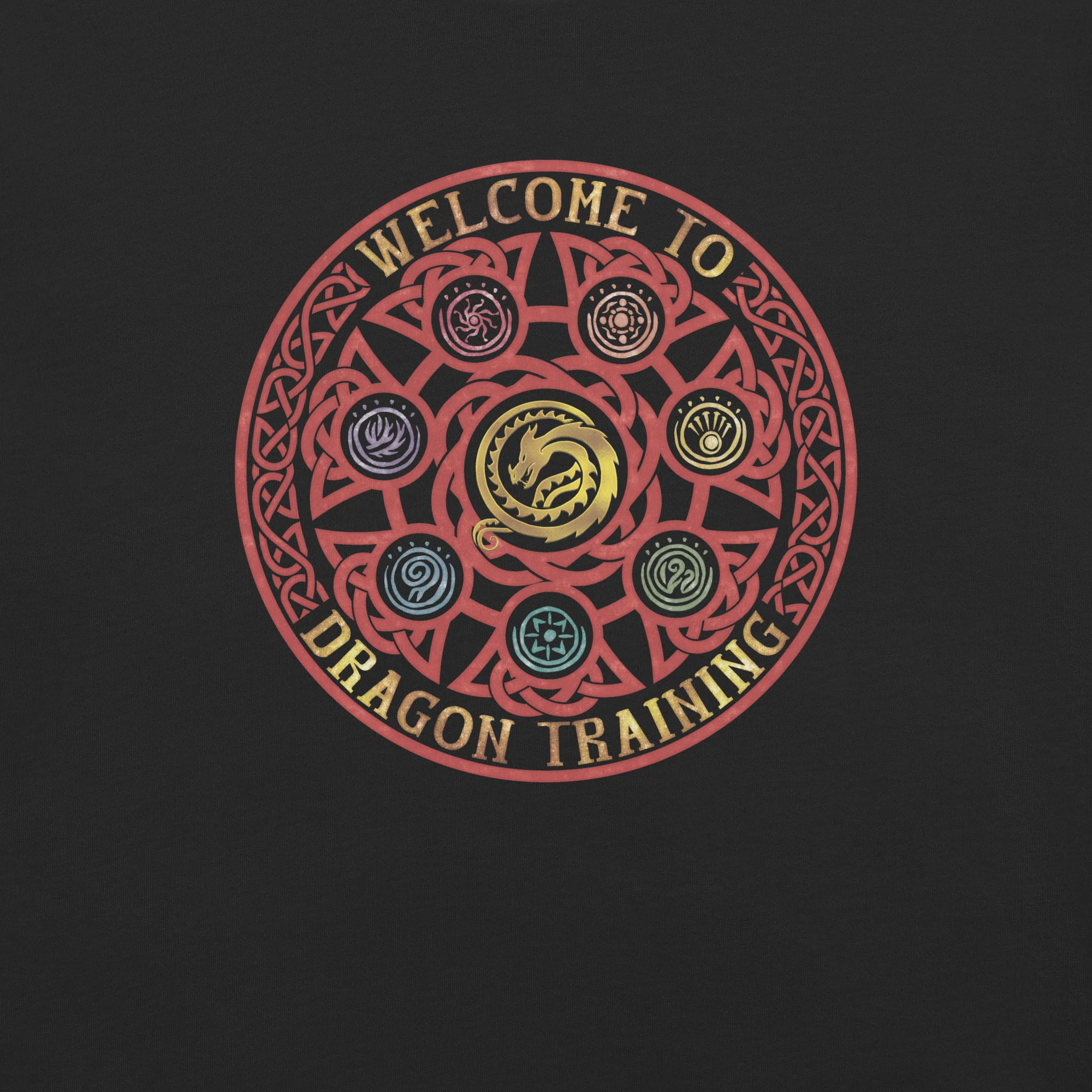 How to Train Your Dragon Welcome to Dragon Training Comfort Colors T-Shirt 4 How to Train Your Dragon Welcome to Dragon Training Comfort Colors T-Shirt