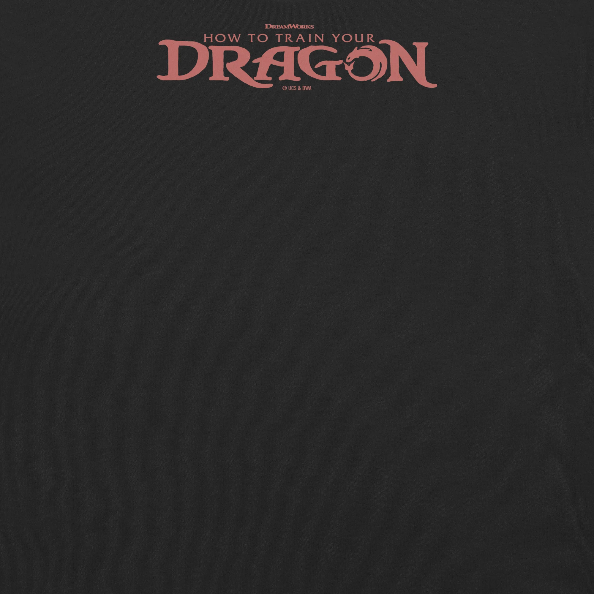 How to Train Your Dragon Welcome to Dragon Training Comfort Colors T-Shirt 6 How to Train Your Dragon Welcome to Dragon Training Comfort Colors T-Shirt