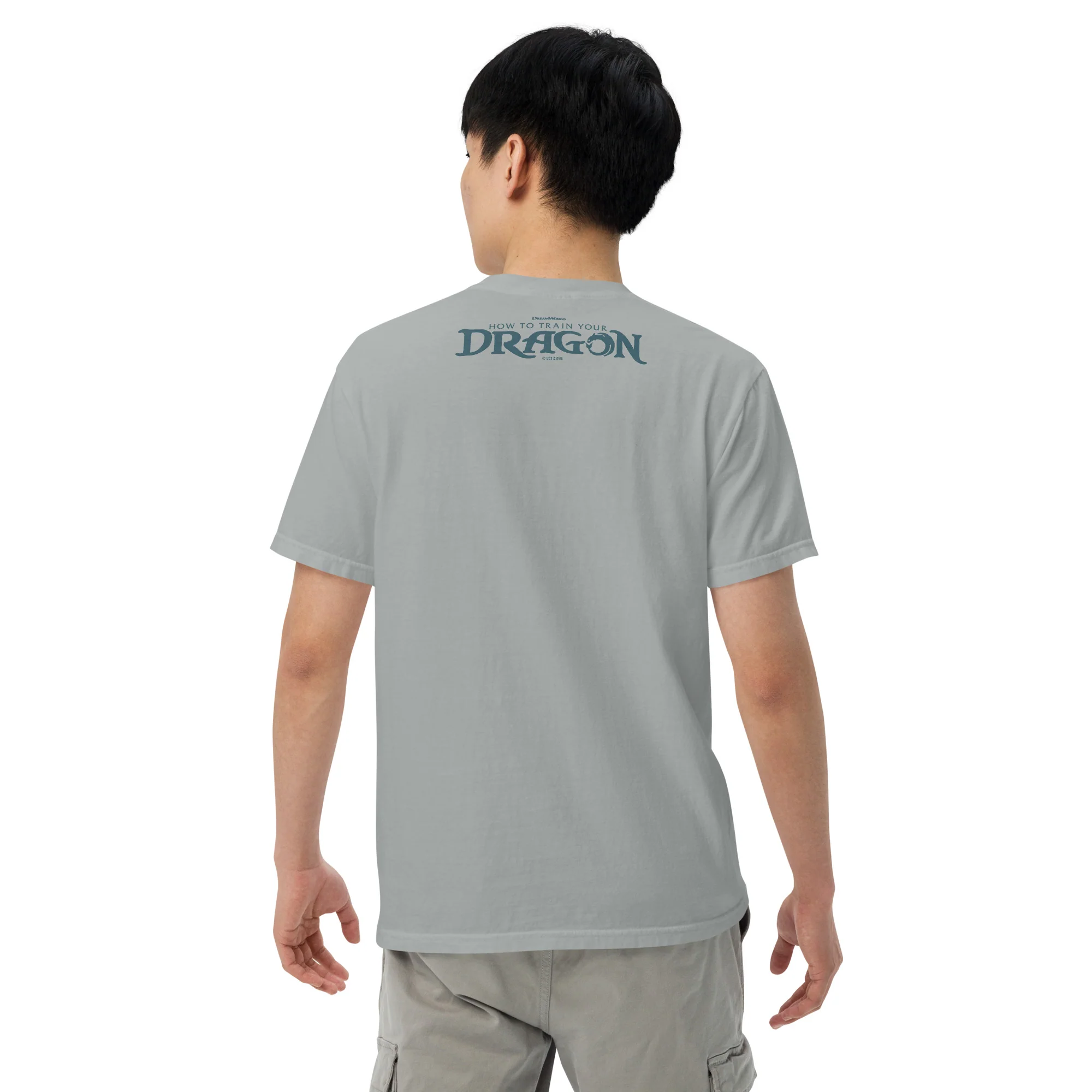 How to Train Your Dragon We Have Dragons Comfort Colors T-Shirt 5 How to Train Your Dragon We Have Dragons Comfort Colors T-Shirt