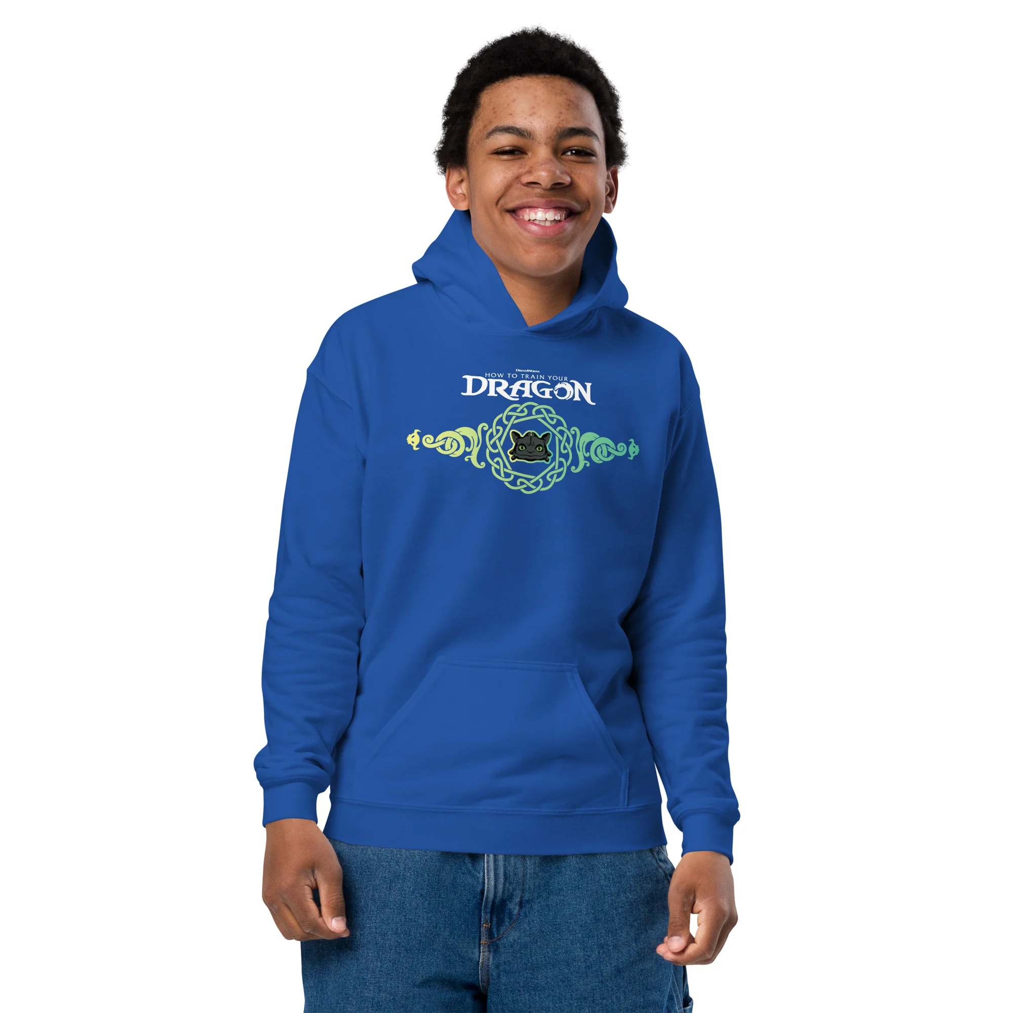 How to Train Your Dragon Learn To Fly Youth Hoodie