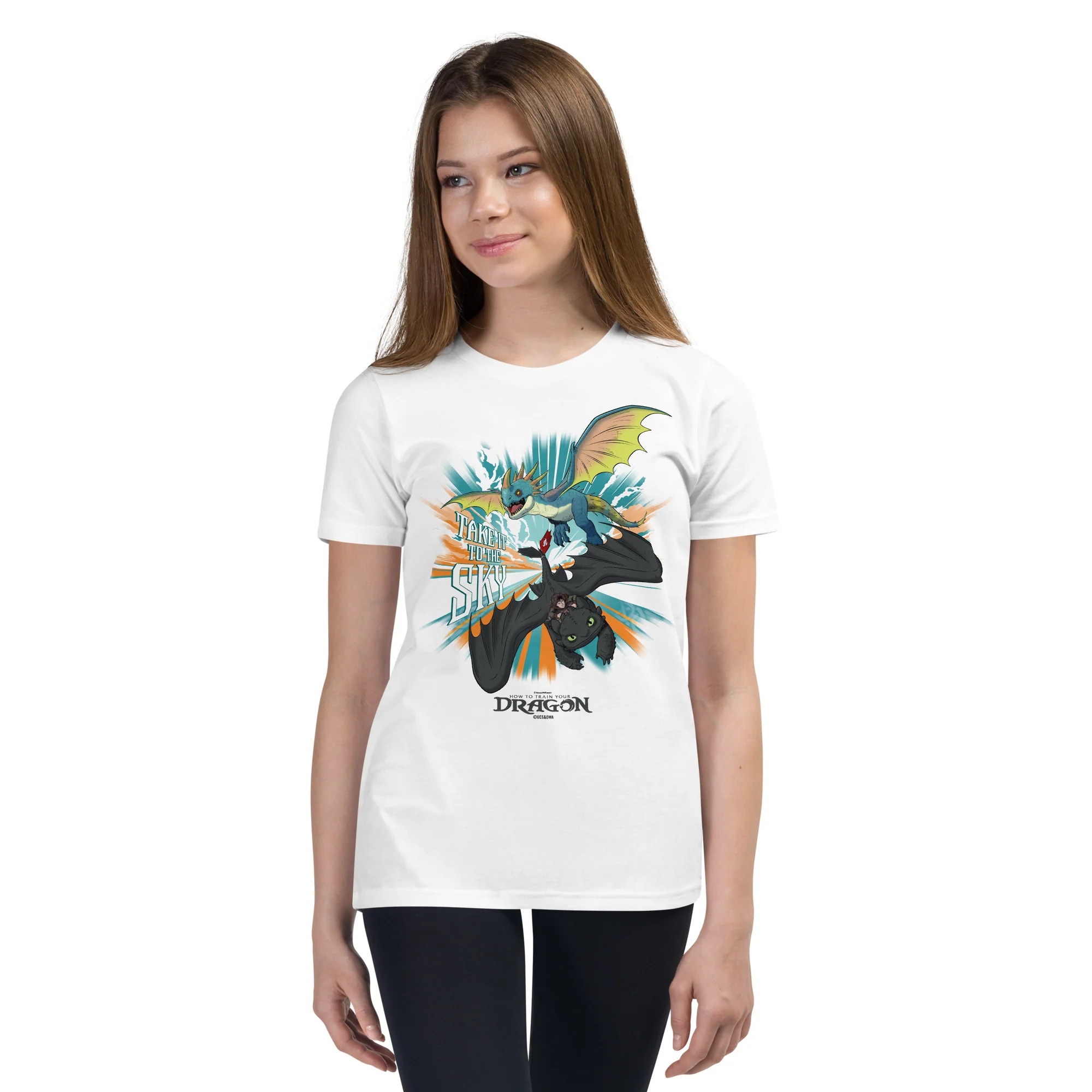 How to Train Your Dragon Take It To The Sky Youth T-Shirt