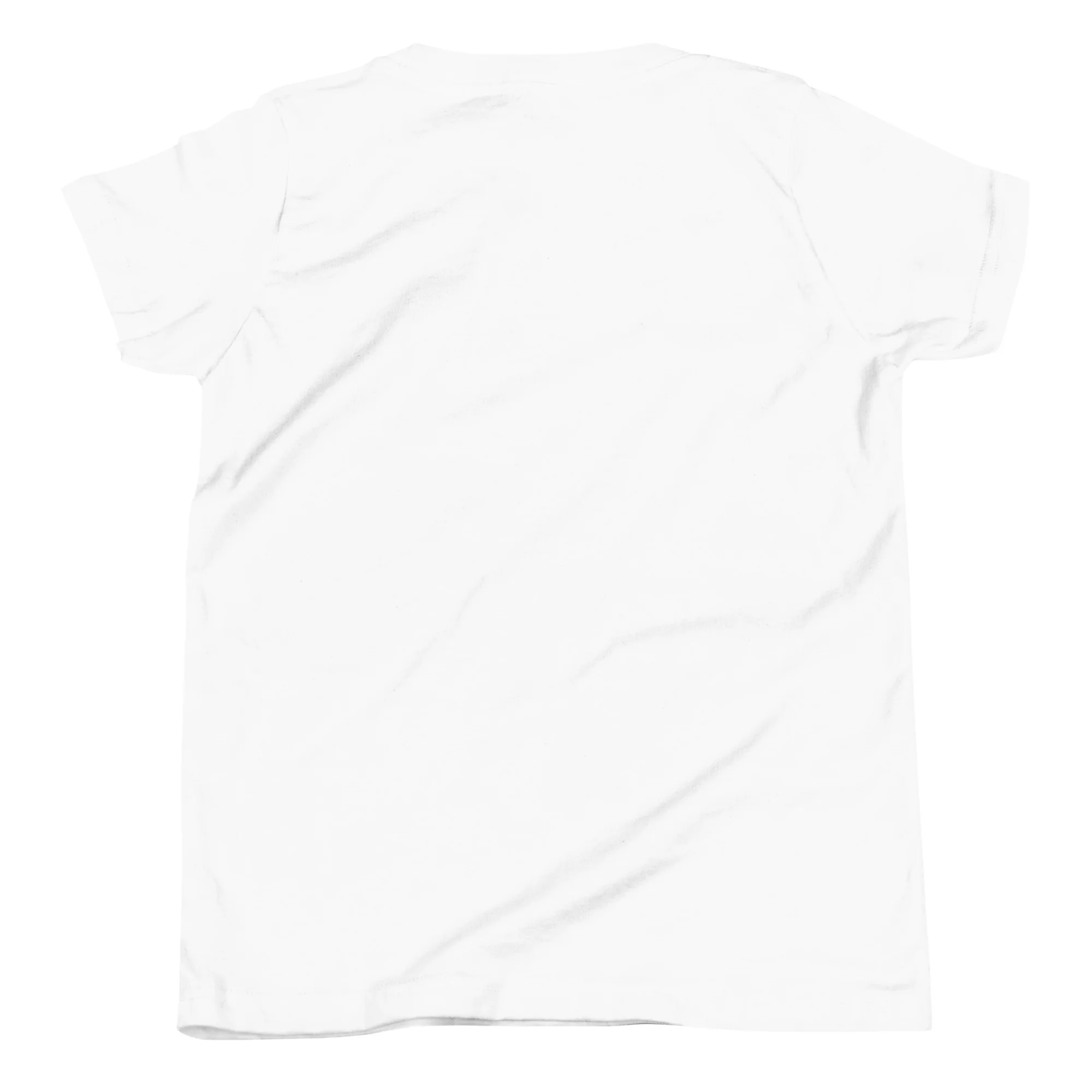 How to Train Your Dragon Take It To The Sky Youth T-Shirt