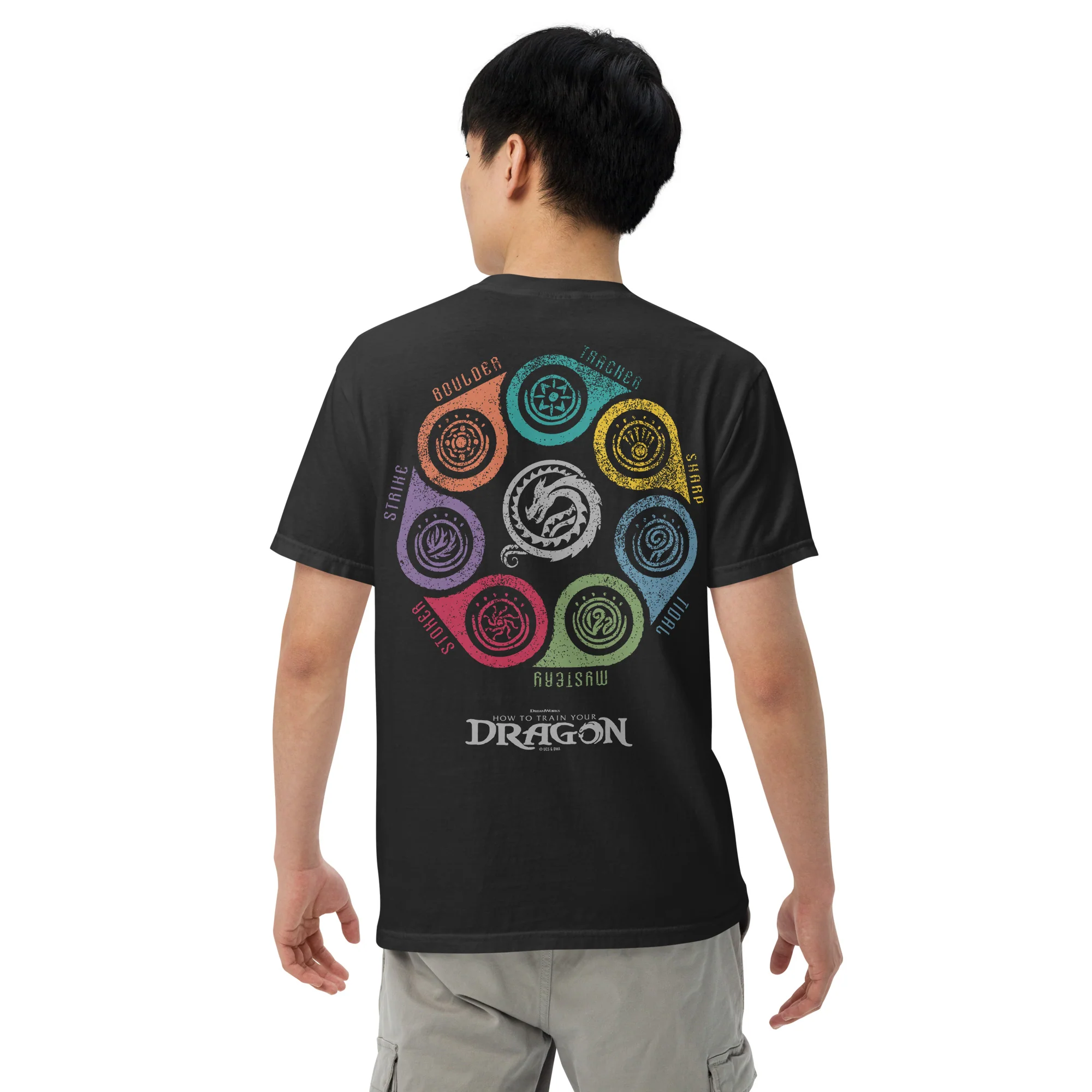 How to Train Your Dragon Seven Classes Comfort Colors T-Shirt 5 How to Train Your Dragon Seven Classes Comfort Colors T-Shirt